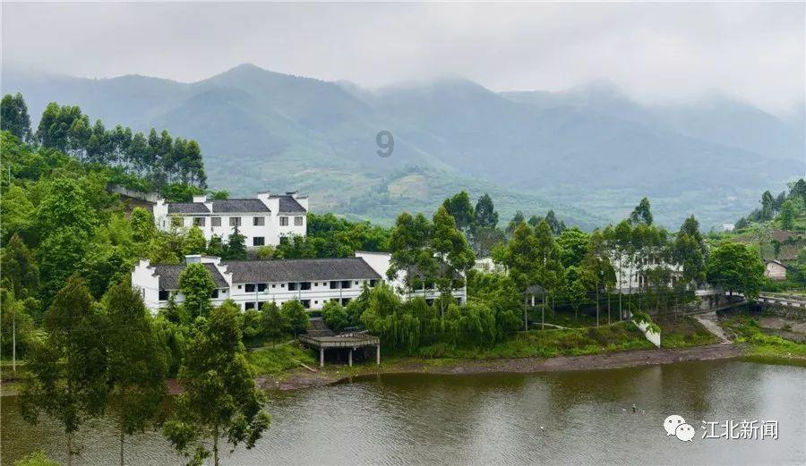 机械迷城
