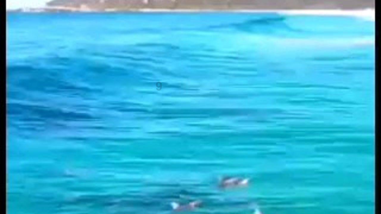 逃离医生的家