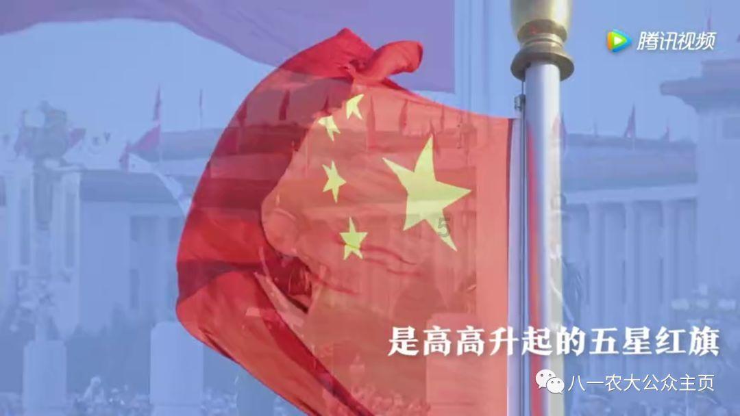 滚动的圆球无敌版