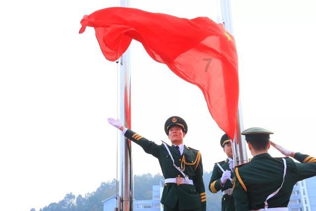 逃离棕榈树森林