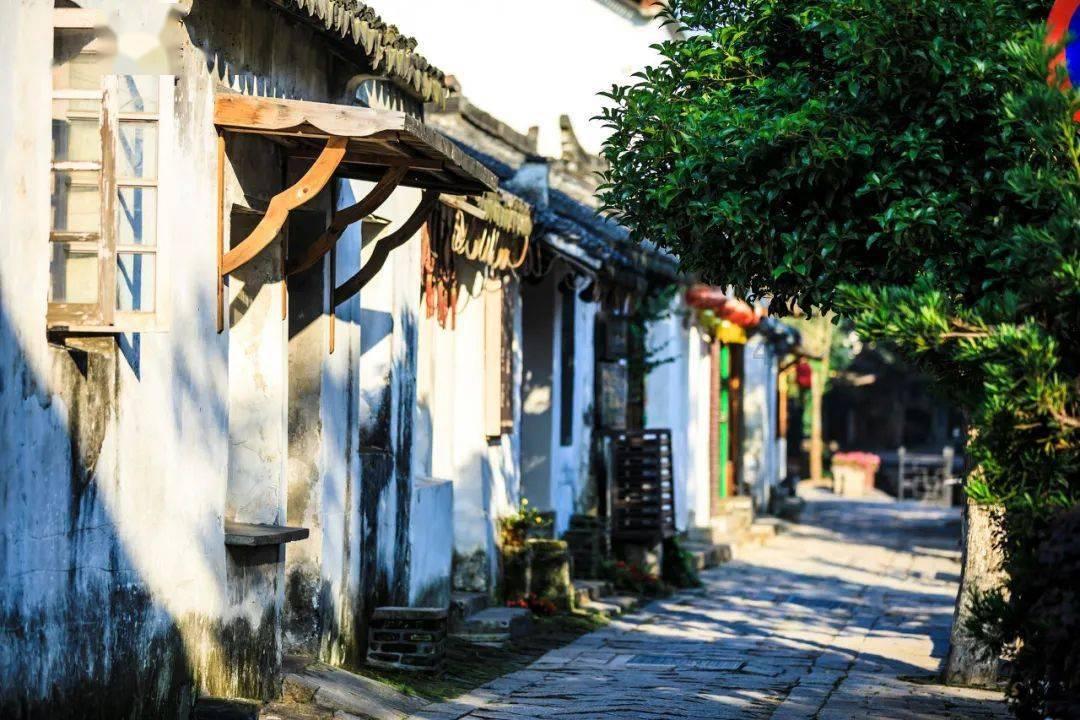 引球进框选关版
