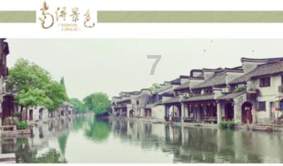 番位之争何时休？NMN、PQQ、麦角硫因...谁才是抗衰界的头把交椅？