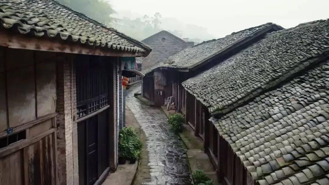 扬帆竞航,砥砺前行 2023年市局青年干部综合能力和公文写作提高班圆满结业!